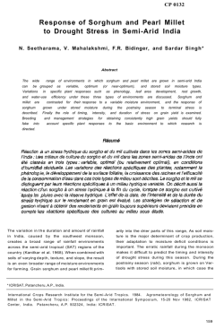 Response of Sorghum and Pearl Millet to Drought Stress in