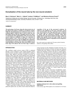 Dorsalization of the neural tube by the non-neural ectoderm