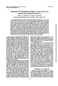 Induction of Chondroitin Sulfate Lyase Activity in