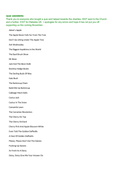 QUIZ ANSWERS Thank you to everyone who bought a quiz and