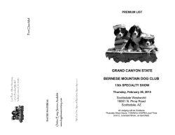 To Download the Printable Premium