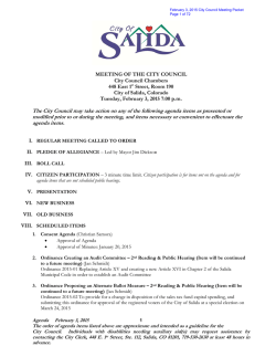 CityCouncilPacket20150203