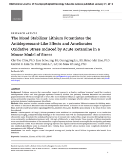 The Mood Stabilizer Lithium Potentiates the Antidepressant-Like