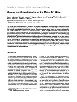 Cloning and Characterization of the Maize Anl Gene