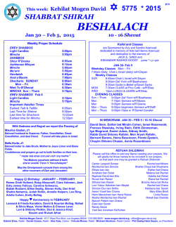 Weekly Bulletins (pdf). - Congregation Mogen David