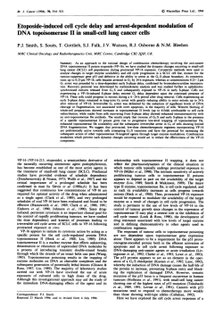 Etoposide-induced cell cycle delay and arrest