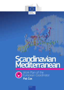 Work Plan of the European Coordinator