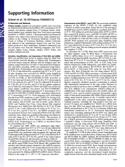 Download Supporting Information (PDF)