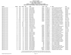 state of illinois twelfth judicial circuit court will county, illinois pamela
