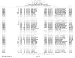 state of illinois twelfth judicial circuit court will county, illinois pamela