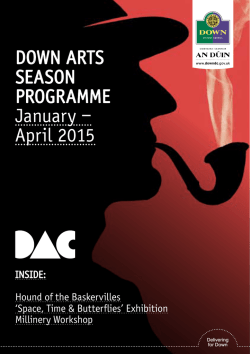 Down Arts Centre - Down County Museum