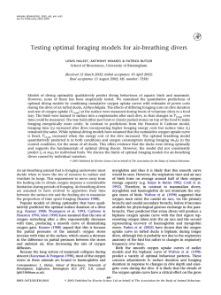 Testing optimal foraging models for air-breathing