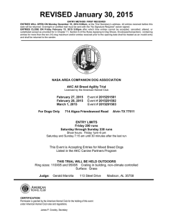 here - For Dogs Only