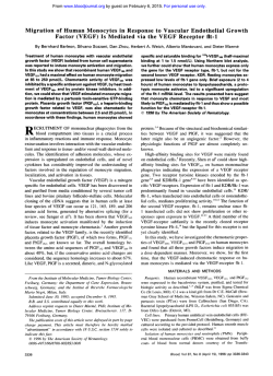 Migration of Human Monocytes in Response to Vascular