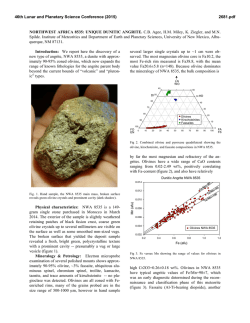 NORTHWEST AFRICA 8535: UNIQUE DUNITIC ANGRITE. C.B.