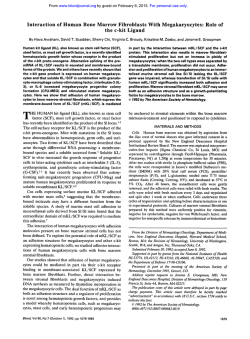Interaction of Human Bone Marrow Fibroblasts With