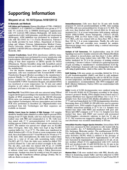 Download Supporting Information (PDF)