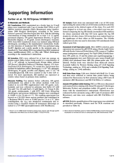 Download Supporting Information (PDF)