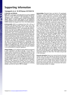Download Supporting Information (PDF)