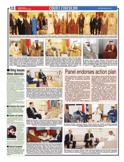 Panel endorses action plan