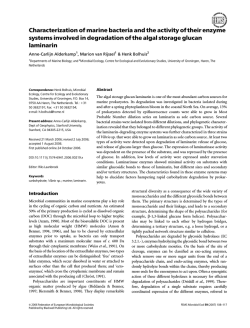 Characterization of marine bacteria and the activity of their enzyme