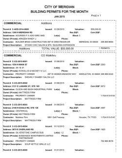 Full Report - City of Meridian