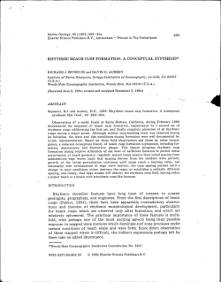 RHYTHMIC BEACH CUSP FORMATION: A CONCEPTUAL