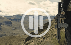 Untitled - Primary Weapons Systems