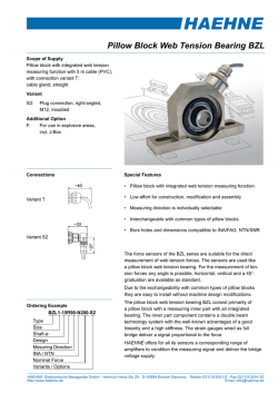Data sheet BZL - Haehne Elektronische Messger&auml;te GmbH