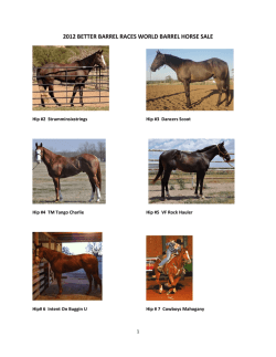 2012 BETTER BARREL RACES WORLD BARREL HORSE SALE