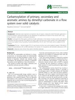 Provisional PDF - Sustainable Chemical Processes
