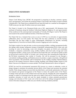 Executive Summary - Yellowhead Mining Inc.