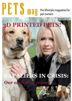 Picture - Pets magazine