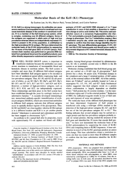 Molecular Basis of the Kell (Kl) Phenotype