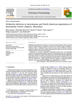 Wolbachia infection in Australasian and North