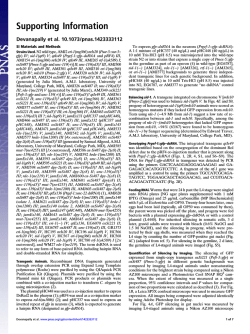 Download Supporting Information (PDF)