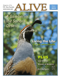 2013 - North Carolina Zoo