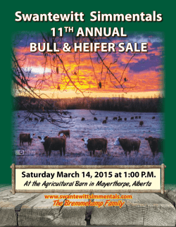 Sale - Swantewitt Simmentals