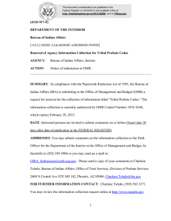 DEPARTMENT OF THE INTERIOR Bureau of Indian Affairs