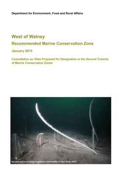 Irish Sea - West of Walney rMCZ site summary