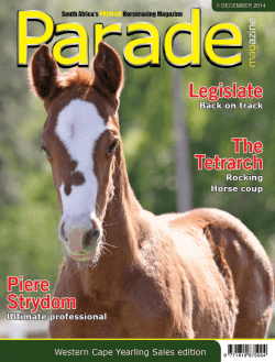 Cape Premier Yearling Sale