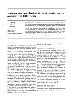 Isolation and purification of yeast Saccharomyces cerevisiae K2