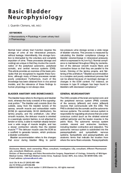 Basic Bladder Neurophysiology