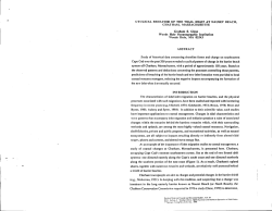 CYCLICAL IJEIIAVIOR OF TIIR TIDAl, INLRT AT NAUSET REACH