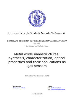 Universit&agrave; degli Studi di Napoli Federico II Metal oxide