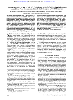 Double-Negative (CD4 - CD8 - ) T Cells From Adult T-cell