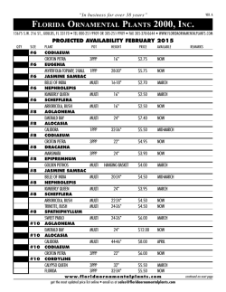 FLORIDA ORNAMENTAL PLANTS 2000, INC.
