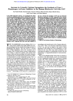 Increase in Cytosolic Calcium Upregulates the Synthesis of