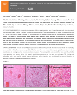 362 Irreversible electroporation for prostate cancer: In vivo effect