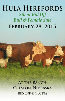 2015 Sale Catalog Link
